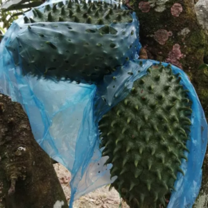 Bolsas de Seguridad Porta guía para Mensajería por 100 uds