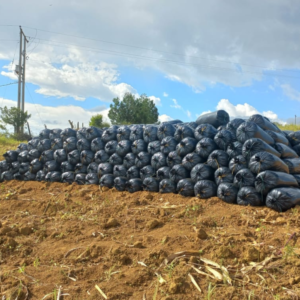 Bolsas para Silo Negras en Plástico Calibre 6