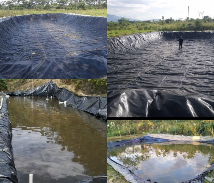 Guía Completa para Elegir Plástico para Reservorios de Agua Soluciones para Jardinería, Construcción y Proyectos Ambientales